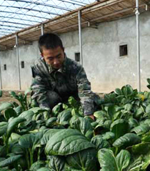 ӛ߻ӣɽľL߅l(wi)ʿ()