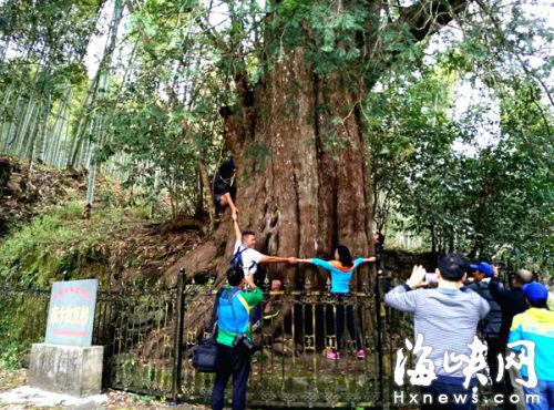 Dl(f)F(xin)ȫҰtɼλ˷ܭh(hun)