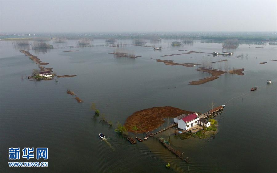 安徽霍邱水門塘 千畝水面萬頃波