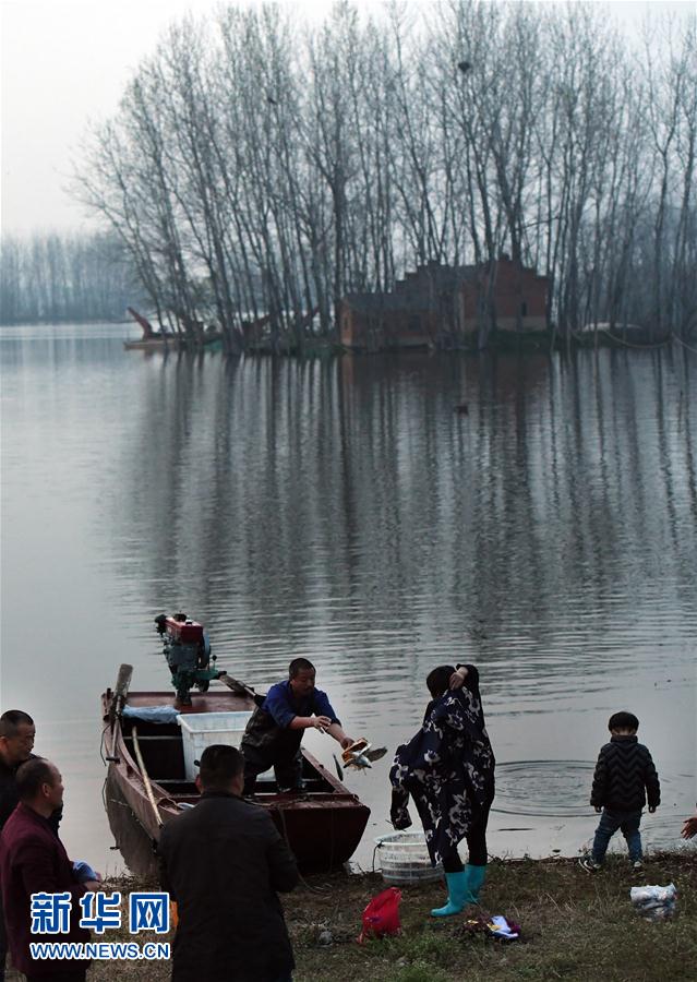 安徽霍邱水門塘 千畝水面萬頃波