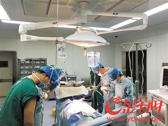 16歲少女因病過世 捐獻(xiàn)器官幫助5人