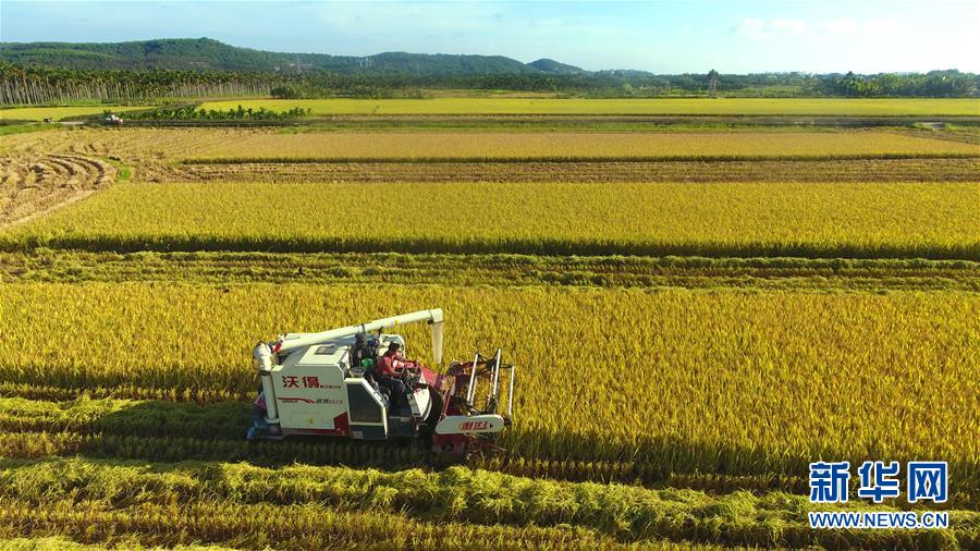 #(經(jīng)濟)(1)立夏農(nóng)忙