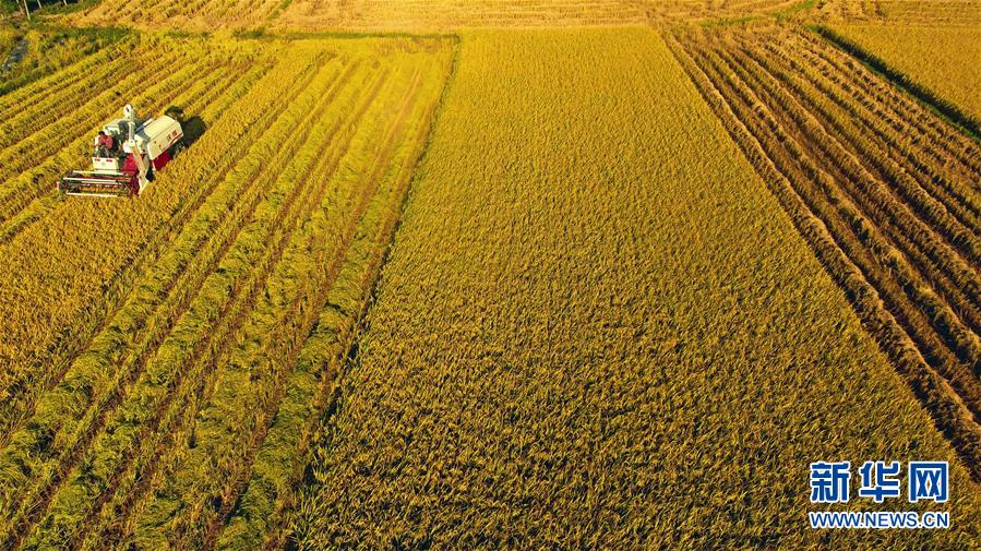 #(經(jīng)濟)(2)立夏農(nóng)忙