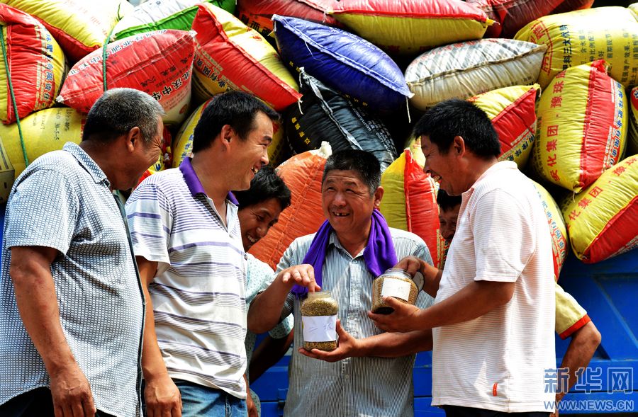河南夏邑夏糧收購工作展開 河南夏邑夏糧收購工作展開