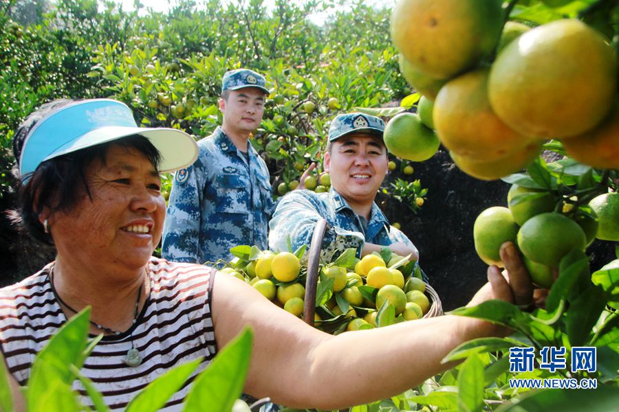 σ(ni)l(xing):10ؚ,ؚ(h)ɸԣ(h)