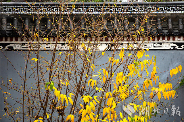 1226գںwԭﾰ^(q)ԭĔzϞ÷