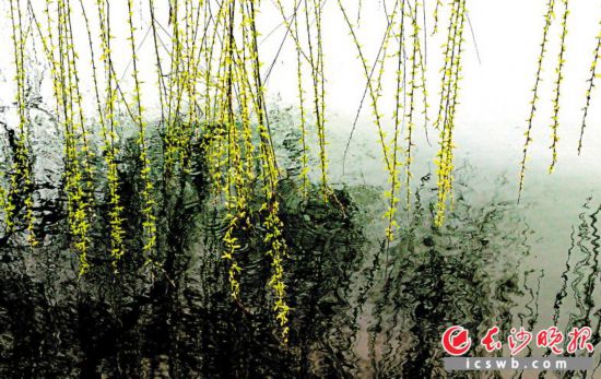 κµľGz{ڴL(fng)hʎԊ(sh)M@L(zhng)ɳ(bo)ȫýwӛܰƽ z