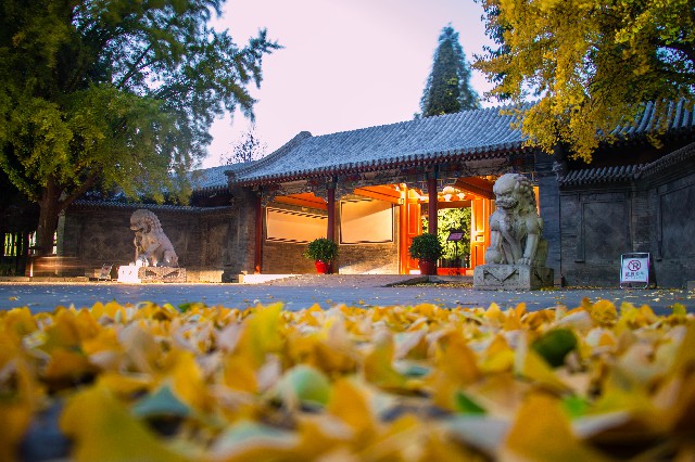 AW(xu)֏dok  zӰ/ο