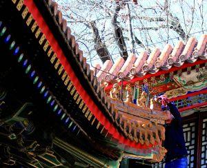 l(f)F(xin)U͈@Ƶݼ߅̎һTPˡȱʧ˵ؾoɽοֿ|ɘ(gu)Iӛ̽LйˆTڬF(xin)ޏ(f)U͈@̎Qȱʧ(gu)(f)Ƙ(gu)L(fng)gL(fng)䣬ο͓ʰԭȻ췿