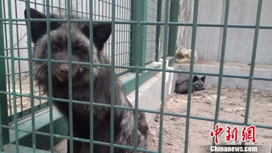 ֫@ȵķڱҰoĽܿB(yng)ĿǰѱͻԭB(yng)ֳDڸx\ĺ؂Ǻ z