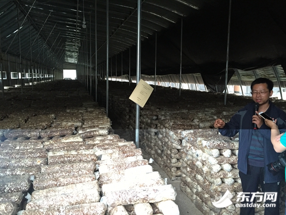 񄞳ƘsDӴsľW(wng)jýw