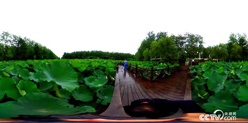 @һҕW(wng) ӛߺδz