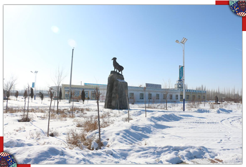 l(xing)V(chng)ӛߺδz