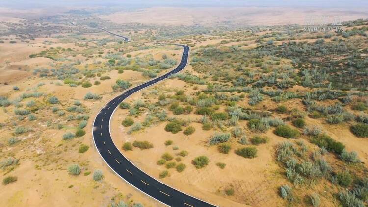 ɶɳǙMɳĮĹ·