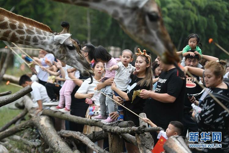 GĿȻá(wn)䌍(sh)΄(w)^