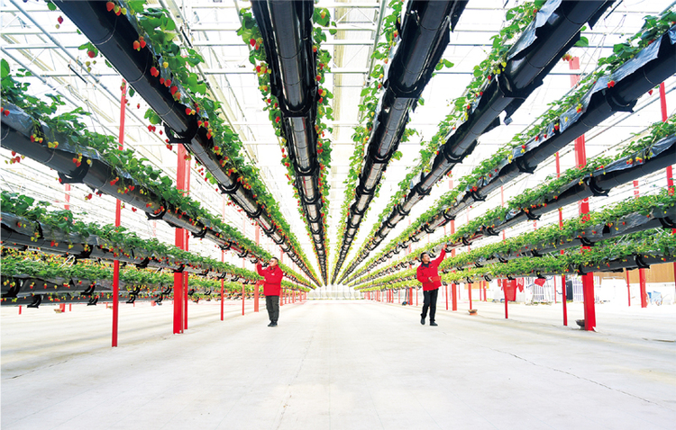 Ұl(f)չĸίՄʮ塱rڵָ(do)ᘺҪĿ